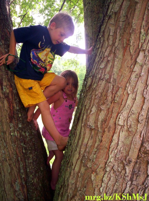lewinow_kids_in_tree.jpg