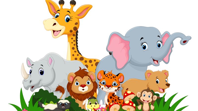 YLEnglish exam Starters Animals