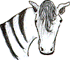 zebra-wt.gif